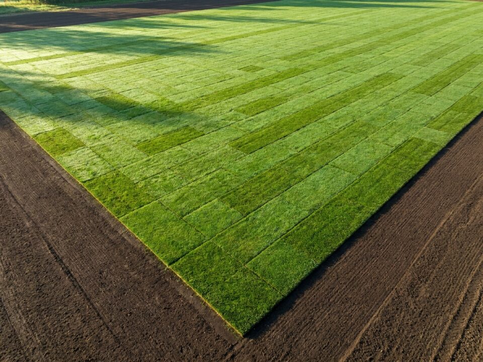 Sod installation